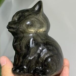 Chat Obsidienne Dorée